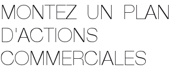 MONTEZ UN PLAN D'ACTIONS COMMERCIALES MONTEZ UN PLAN D'ACTIONS COMMERCIALES